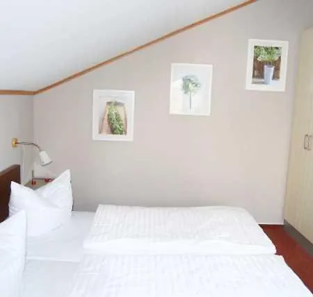 Schneeeule 203 Granzow